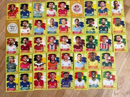 *Panini WM 2026*