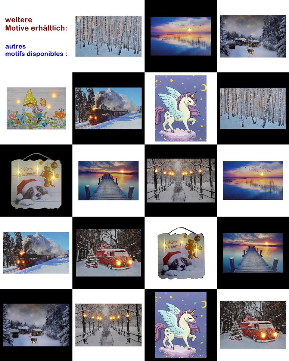 Poster & Bilder: LED Bild 40 x 60 cm Hirschkopf & Sterne – Neu und originalverpackt aus Wettingen von Swala 4