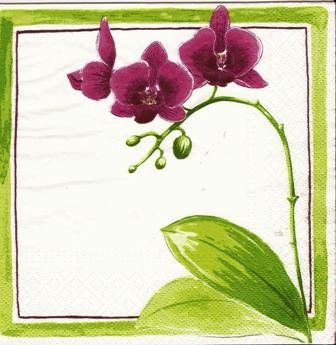 Serviettes: 2 Servietten   Orchidee – Neuf (Voir description) à Basel par Happybaer