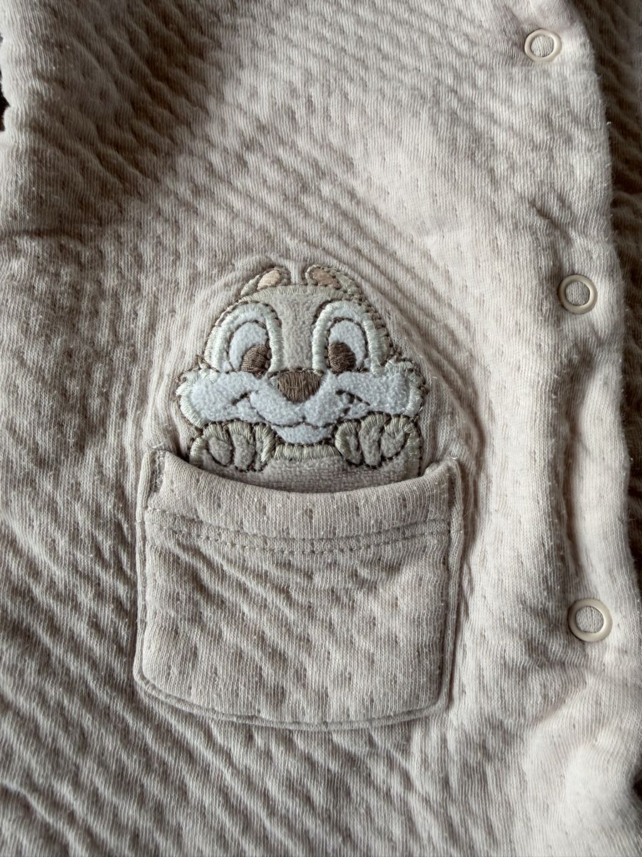 C&A Pigiama & Simili: Chipmunks Pyjama Grösse 68/74 – Usato da Pragg-Jenaz venduto da gobrist 1