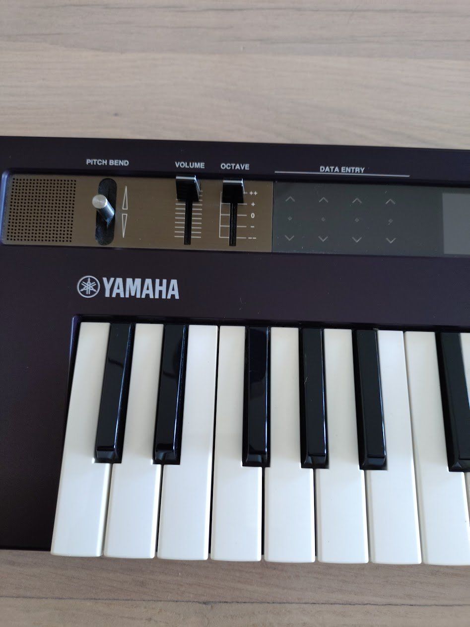 Yamaha Strumenti musicali: Yamaha Reface DX Synthesizer – Usato da Aegerten venduto da vou_89zl 3