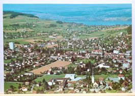 Flugaufnahme Reinach, AG, Hallwilersee im Hintergrund, 1970