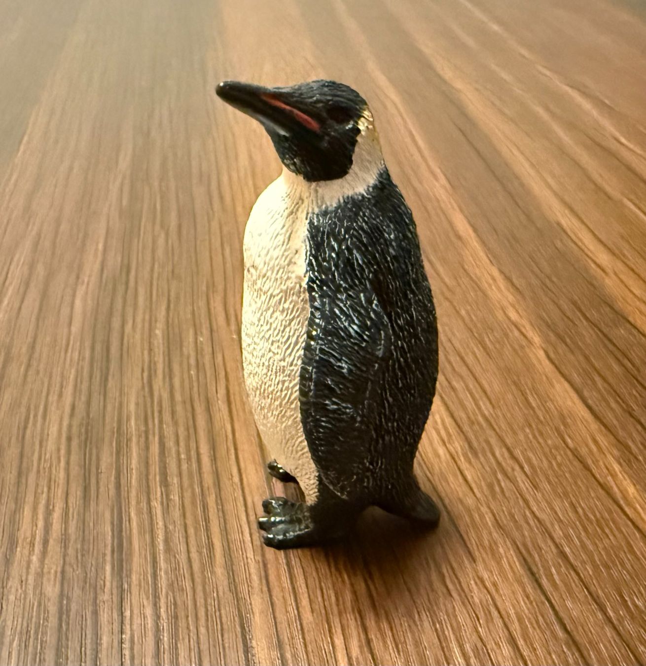 Schleich Spielzeuge: Pinguin Schleich – Gebraucht aus Luzern von isa_27cg