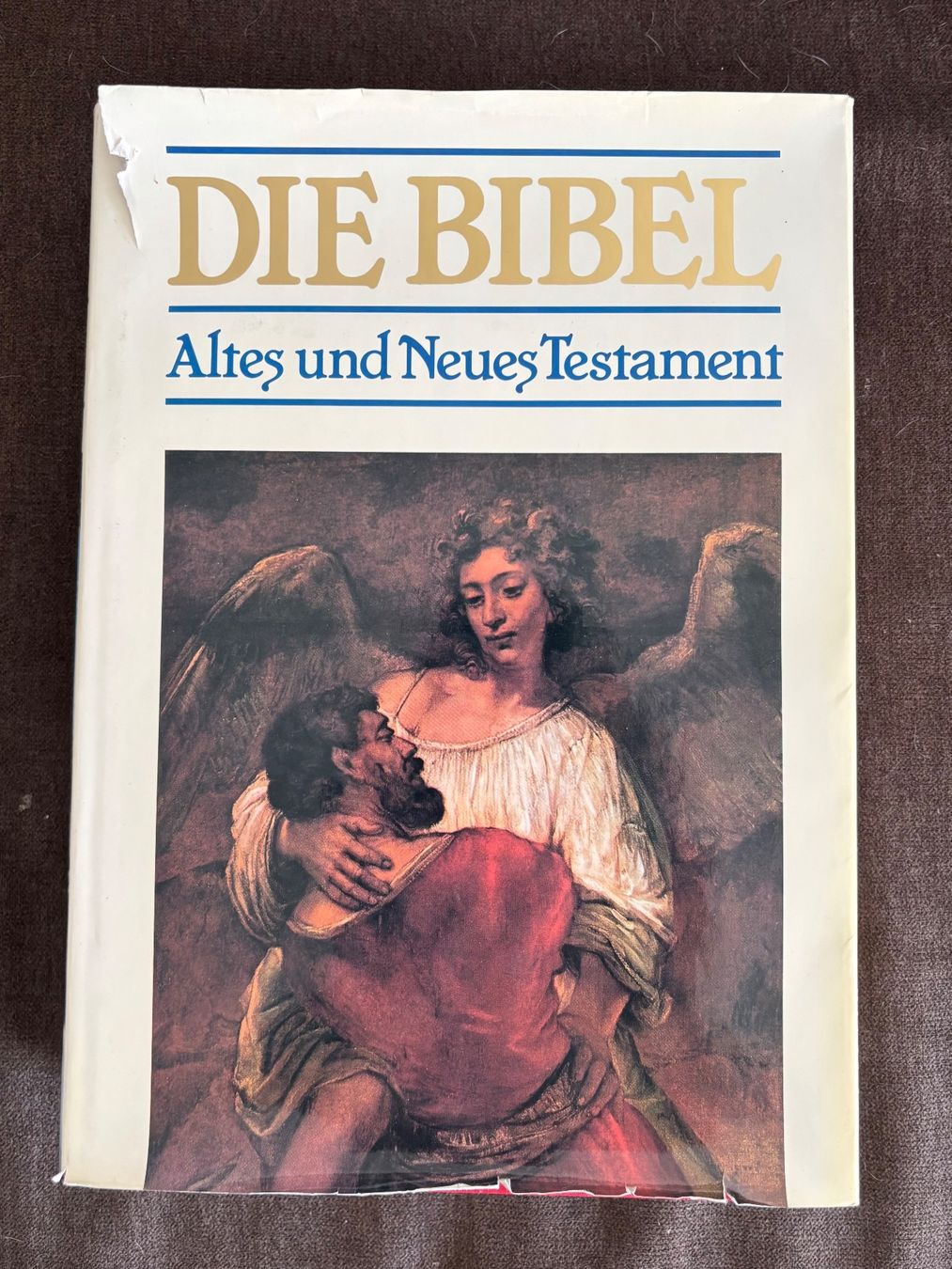 Bücher: Die Bibel – Gebraucht aus Uzwil von Roger-iO