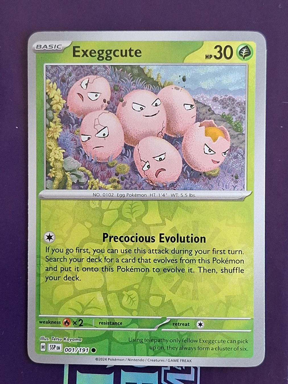 Pokémon Carte collezionabili: Exeggcute - Reverse Holo - Pokemon Surging Sparks – Usato da Altstätten SG venduto da GGsGameshop