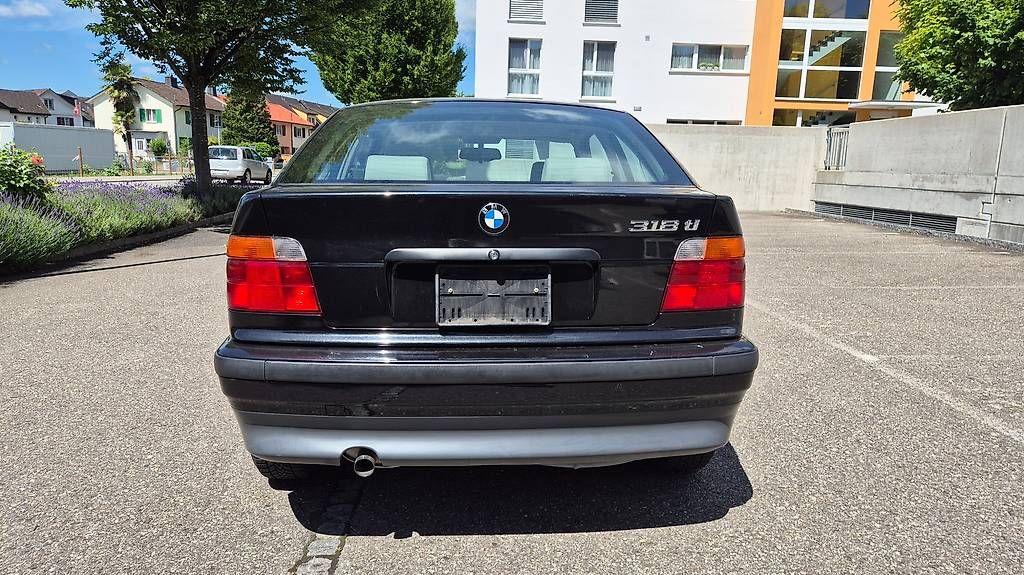 BMW Automobili: BMW 318ti E36 Compact  1. Hand  100% Original & Rostfrei – Usato da Weinfelden venduto da Pedi007 1