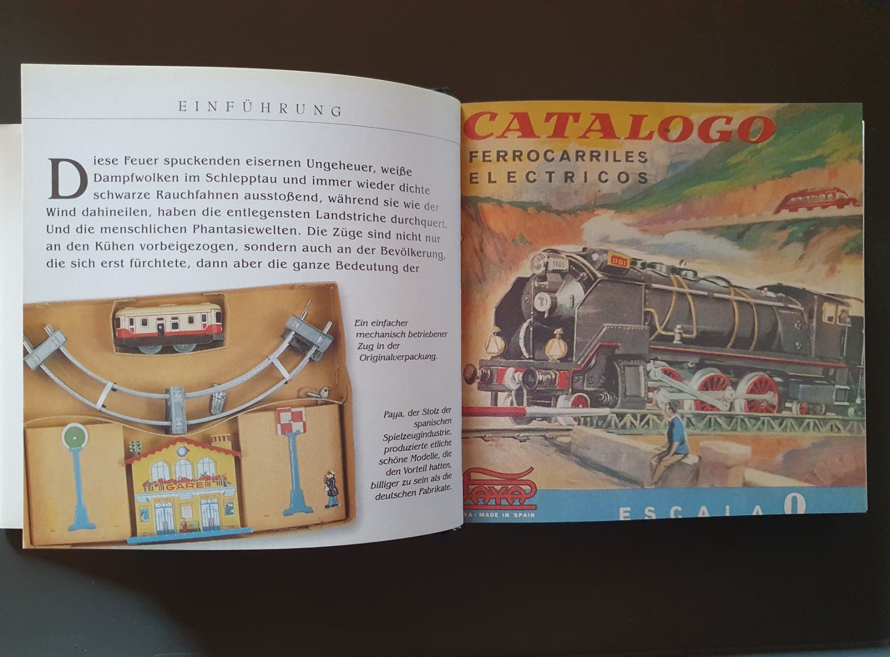 Libri: Fotobuch "Modelleisenbahnen", neuwertig! – Nuovo (secondo la descrizione) da Rheinfelden venduto da PRINZ4L 4