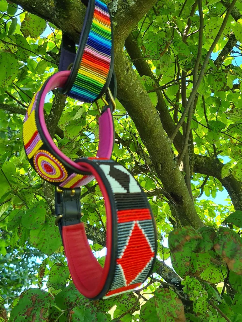 Nastri decorativi: Windhund Halsband – Nuovo (secondo la descrizione) da Bellerive VD venduto da Hermes5