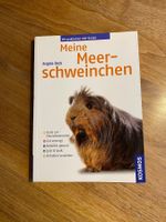 Meine Meerschweinchen