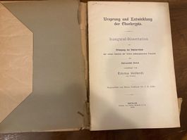 Ursprung und Entwicklung der Chorkrypta