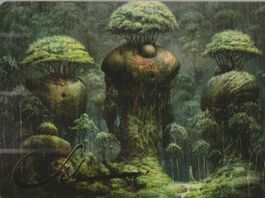 TCG Magic The Gathering MTG DMU ARTWORKS 65 SIGNED Wald