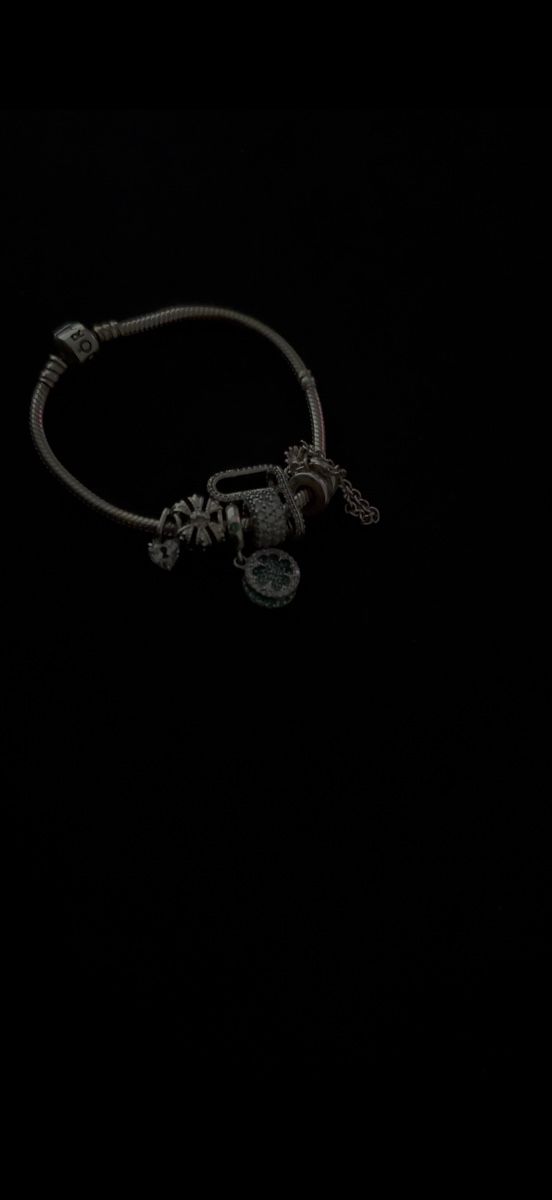 Pandora Bracciali & Braccialetti: Pandora Armband mit 6 Anhänger – Nuovo (secondo la descrizione) da oberrüti venduto da lbr.leonie 1