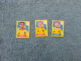 Panini 2026 SWE 11/14/17