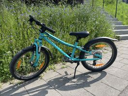 Specialized Hotrock Kinderbike 20“