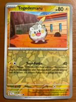 Pokemon Togedemaru (Versand gratis)