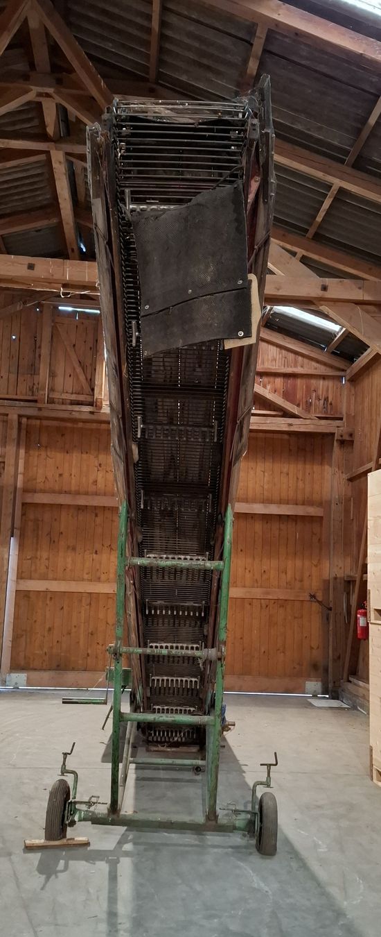 Remorques autochargeuses/d'ensilage: Förderband Blaser – D'occasion à Wilihof par Raphaela30 3