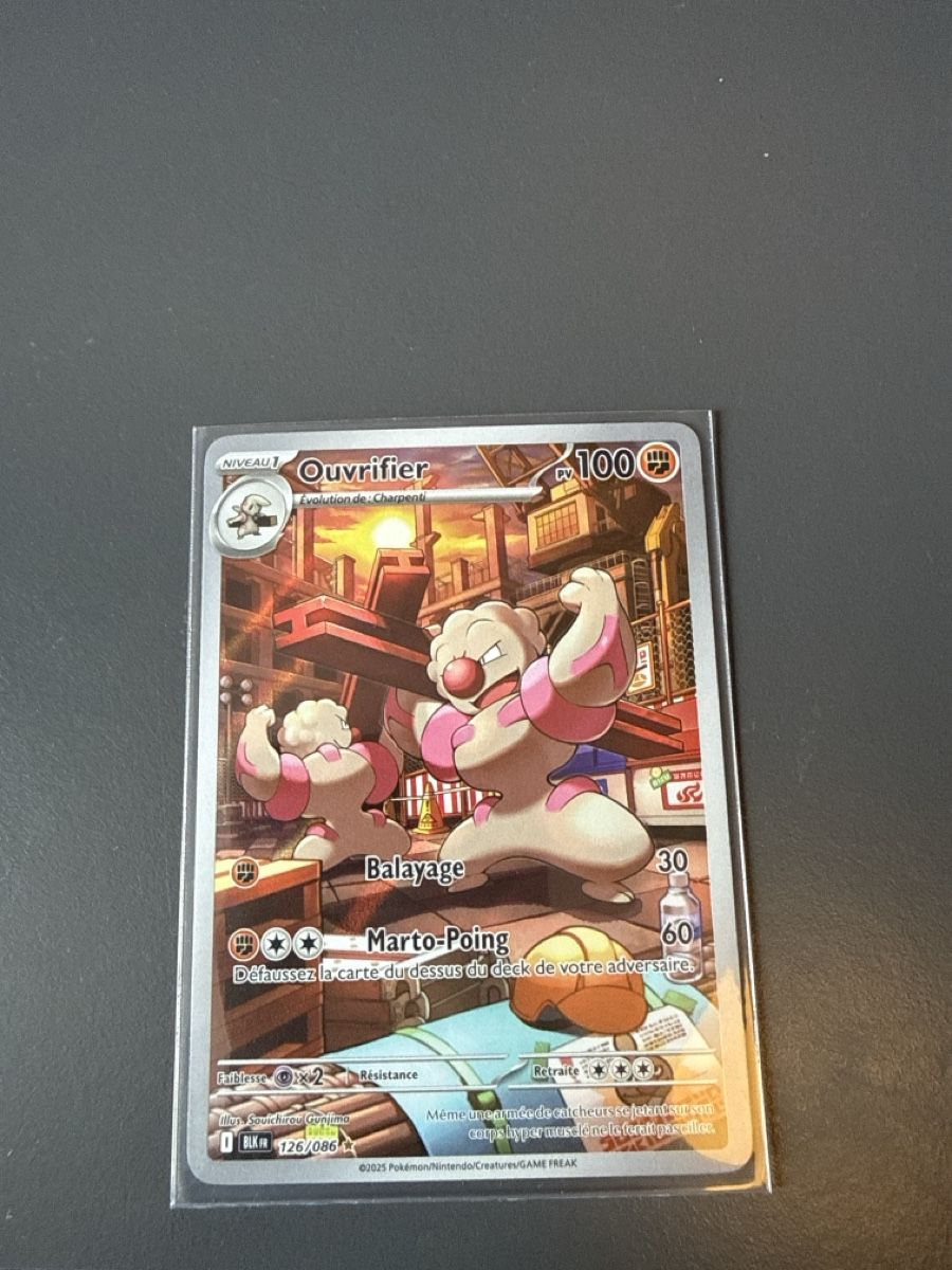 Cartoline: Carte Pokémon rare Ouvrifier – Nuovo (secondo la descrizione) da Vuarrens venduto da ris_6gyv