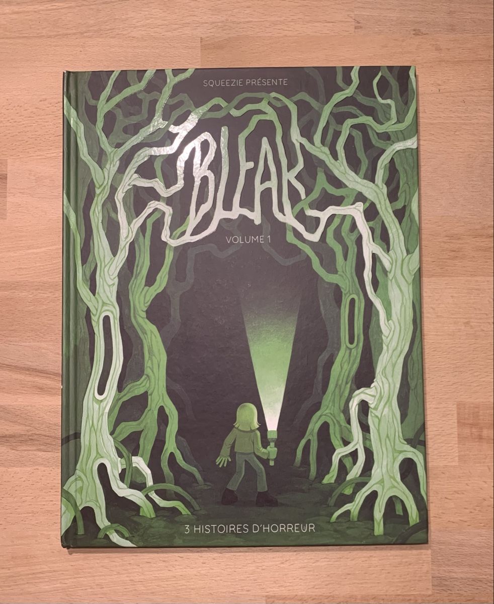 Fumetti: Bleak volume 1 et 2 de Squeezie – Nuovo (secondo la descrizione) da Ipsach venduto da lsa_x8yq