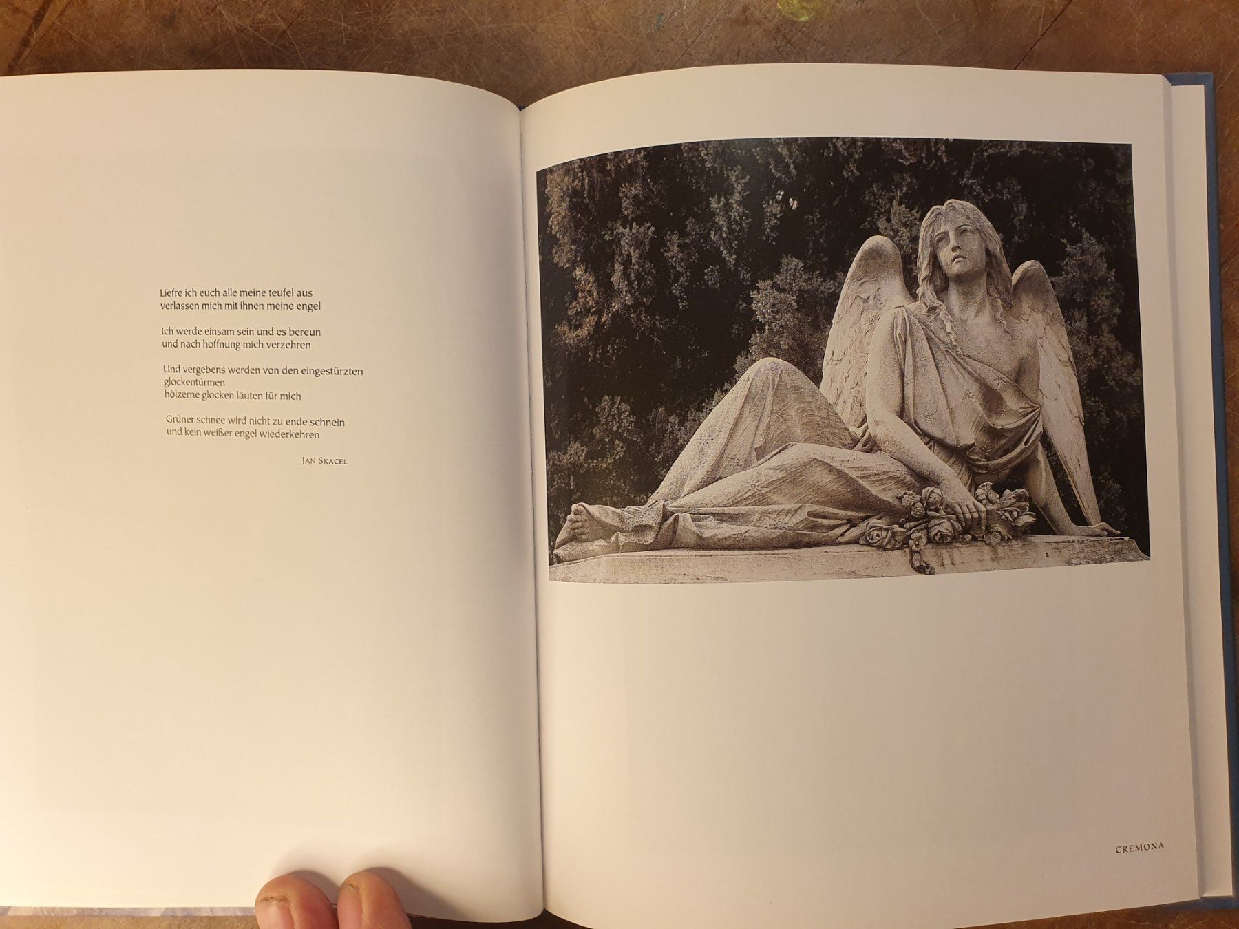 Libri: Aus Licht und Schatten - Isolde Ohlbaum – Usato da Zürich venduto da loosebone 6