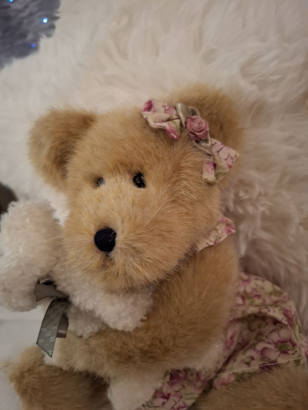 Spielzeuge: MAMA TEDDY MIT BABY VON BOYDS – Neu (gemäss Beschreibung) aus Gretzenbach von schibaya 2