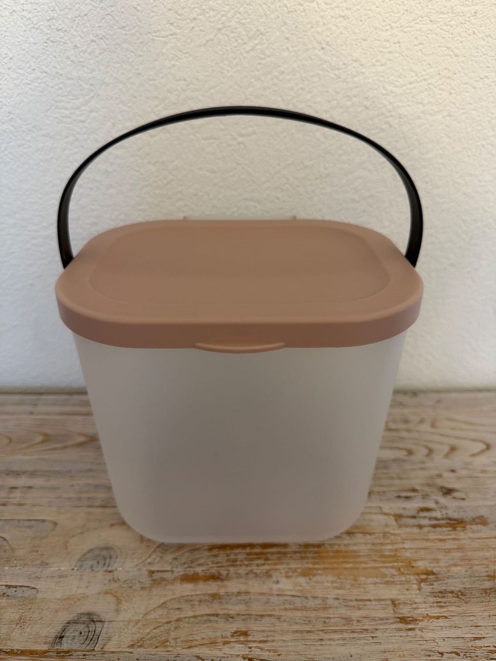 Rotho Contenitori & Simili: Rotho Aufbewahrungsbox mit Deckel – Usato da Wolfwil venduto da Inseider12
