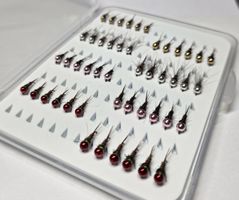 Box mit 48 Tungsten Nymphen