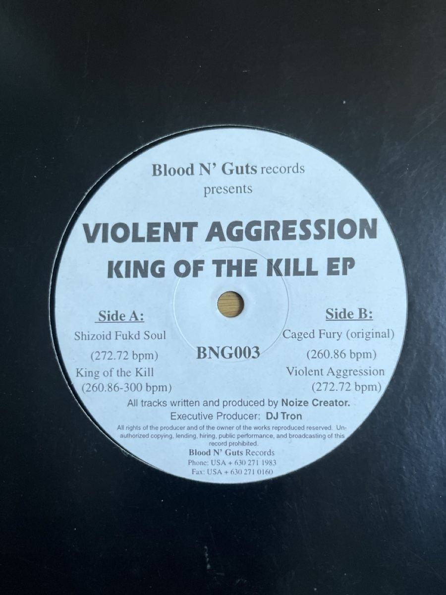 Dischi in vinile: Violent Aggression Hardcore / Speedcore Vinyl – Usato da Wangen b. Olten venduto da break72 1