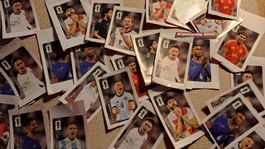 Panini Coca cola Wm Stickers