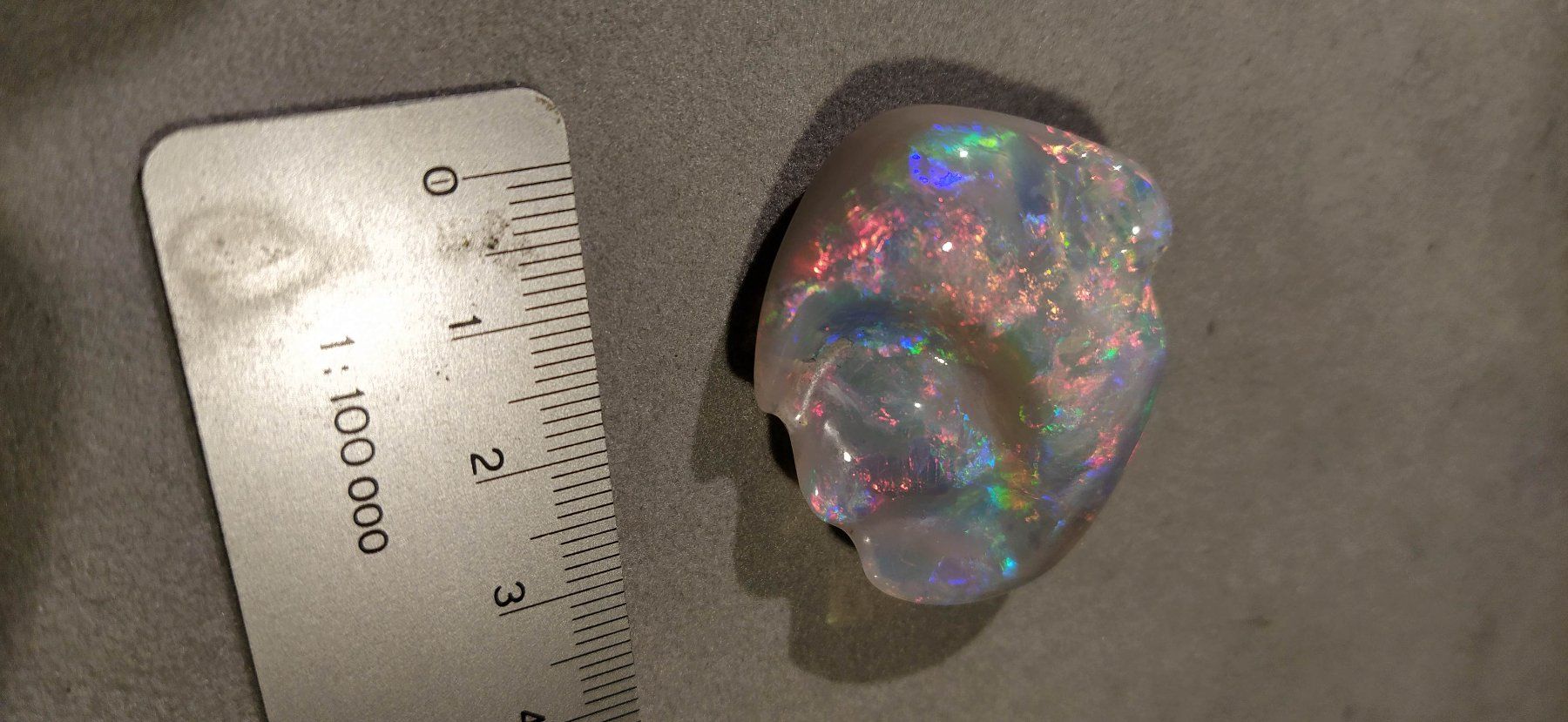 Fossili: Opalisierte Muschel – Nuovo (secondo la descrizione) da Dieterswil venduto da Opal66 5