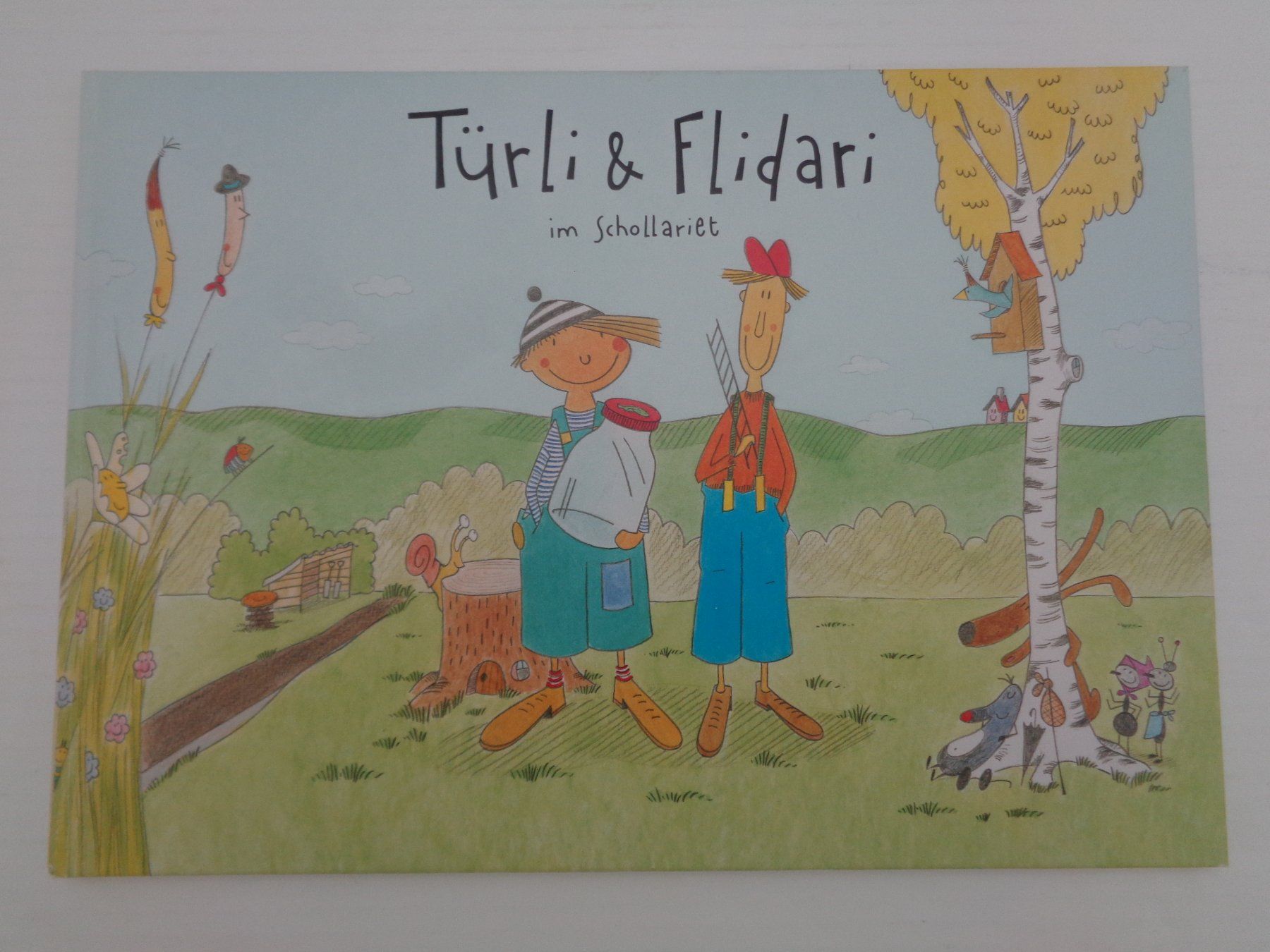 Libri: Türli & Flidari im Schollariet – Usato da Chur venduto da Oregano1