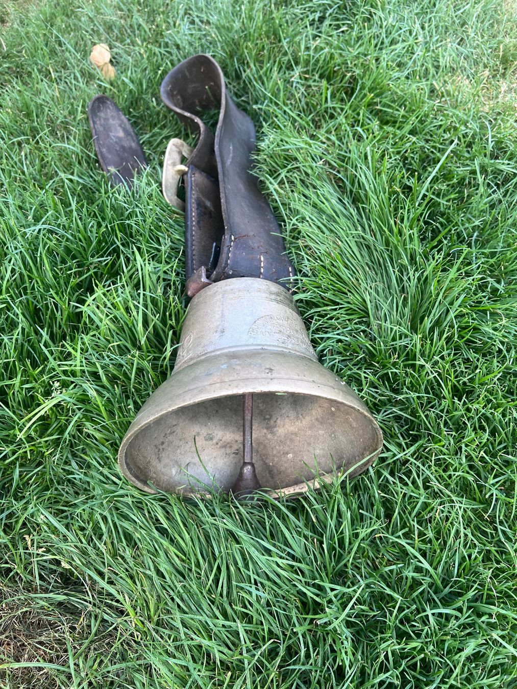 Campanacci mucche: Schwere Glocke..Chue und Hirt – Usato da Steckborn venduto da Holiday66 4