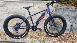 Totem E-Bike Fatbike Wild Boar Fabrikneu!!!