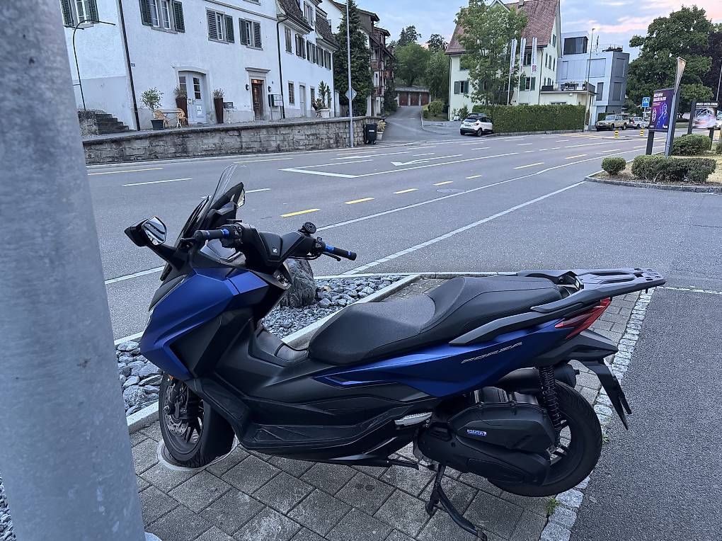 Scooters: Forza 125  – Gebraucht aus Wädenswil von max_9s2y 2