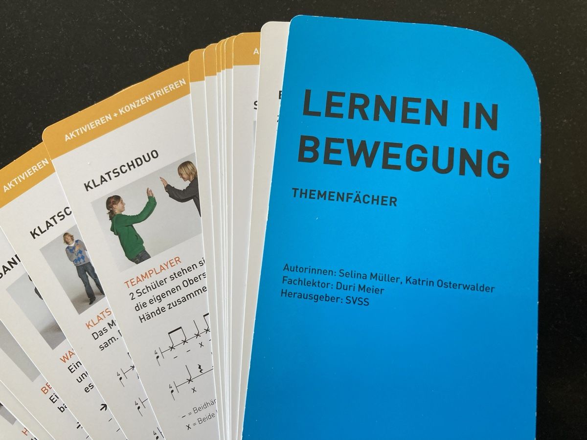 Altro materiale scolastico: Lernen in Bewegung – Usato da Effingen venduto da Fylarama