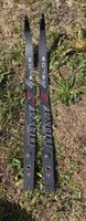 Hoyt limbs / Wurfarme Velos Formula series 28lbs short
