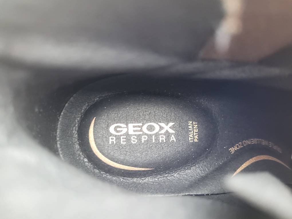 Scarpe da donna: Stivaletti GEOX nr 41 – Usato da Lugano venduto da Antonella68