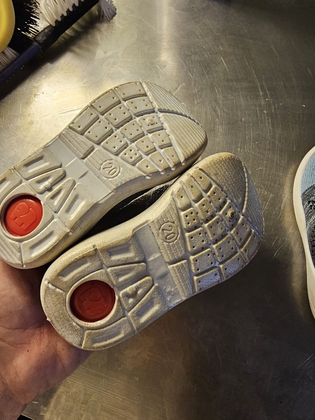 Elefanten Schuhe für Jungen: Elefanten Lauflernschuhe Gr. 20  – Gebraucht aus Brüttisellen von Miralaurea 1