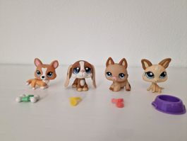 LPS littlest Pet Shop Hunde