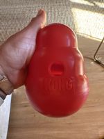 Hundespielzeug kONG