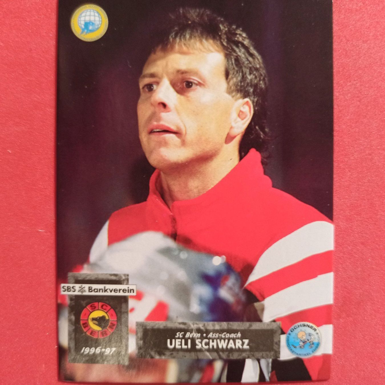 Carte collezionabili: Ueli Schwarz - SCB - 1996/97 – Usato da Dübendorf venduto da kb86_MOVIE