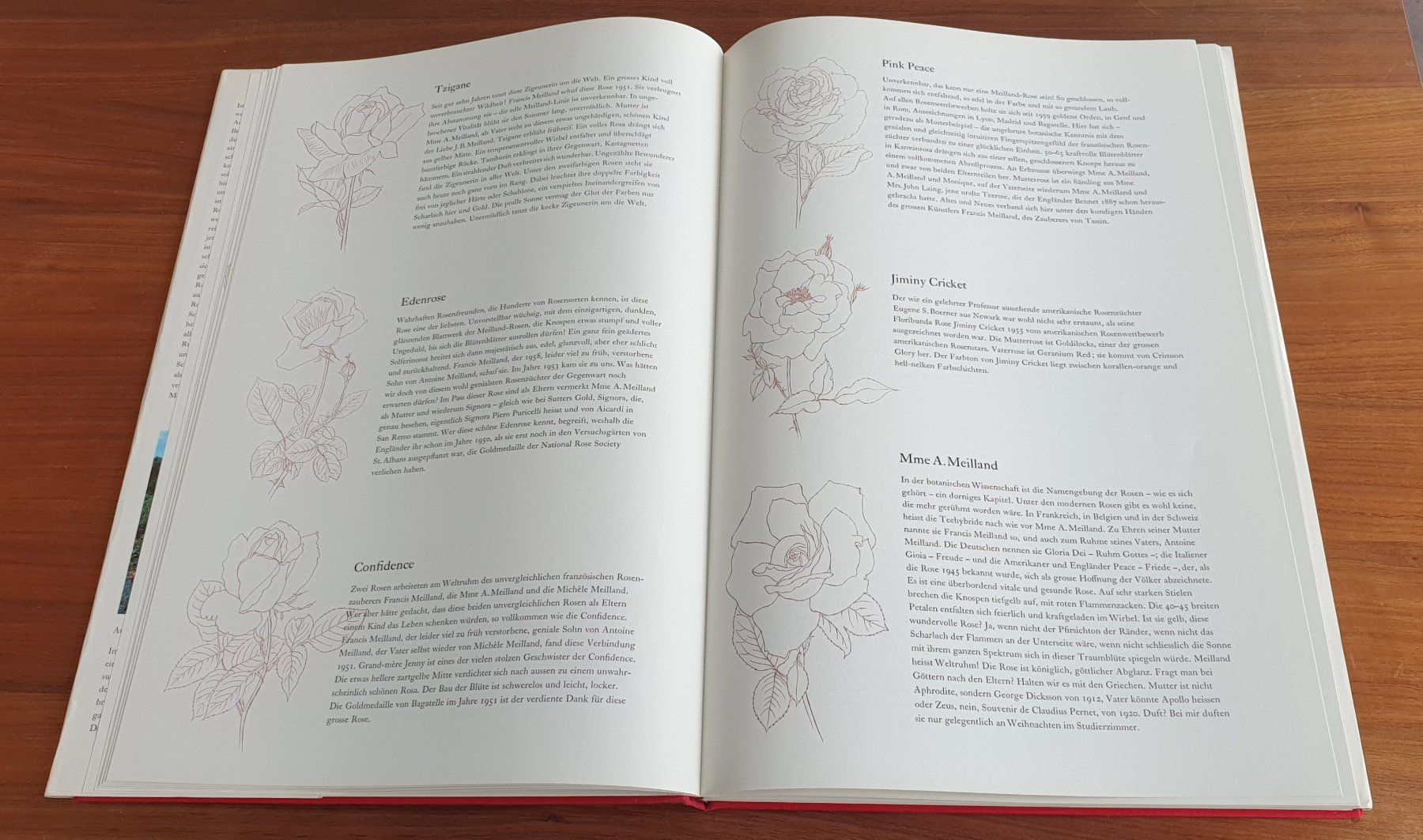 Libri: "Vom Ruhm der Rose" – Usato da Luzern venduto da Tangerine6 6
