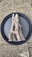 Aquarium-Dekoration Baumstamm mit Hohlraum, ca. 24 cm hoch