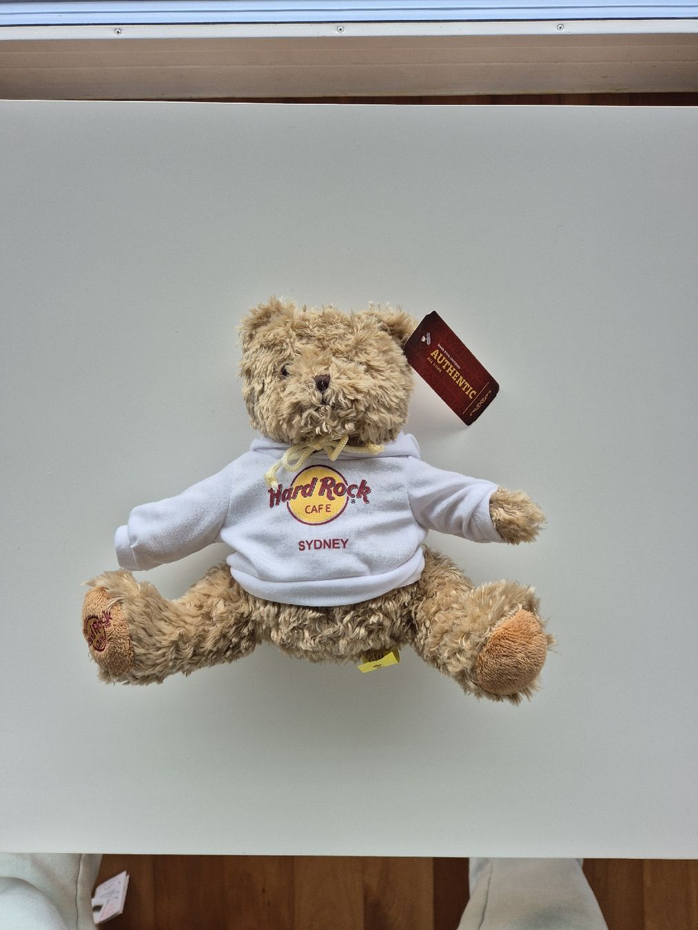 Giocattoli: Hard Rock Teddy – Nuovo (secondo la descrizione) da Wilen (Sarnen) venduto da starlet2012