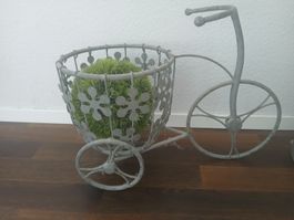 Cute Metal Bike Planter for Spring Flowers Display Decor