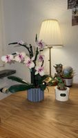 Aufgebautes Lego set - Orchidee und Groot