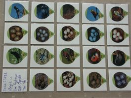 Serie  7349    Vögel und ihr  Gelege      AZM  Gastro