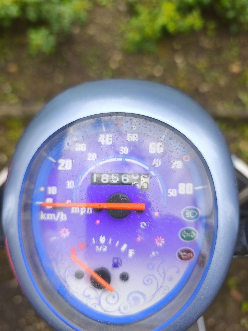 Kymco Strada: Kymco Sento 50  – Usato da Belp venduto da and_6786 3