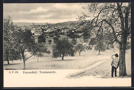 Cartes postales: Frauenfeld, Totalansicht, Wanderer blick – D'occasion à Berlin par bartko-reher