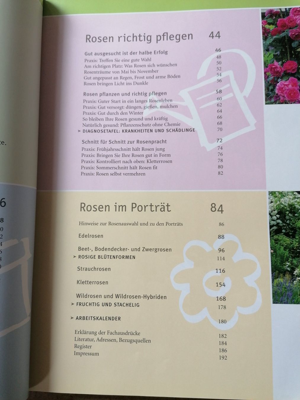 Libri: Rosen GU – Usato da Klingnau venduto da vollmond36 4