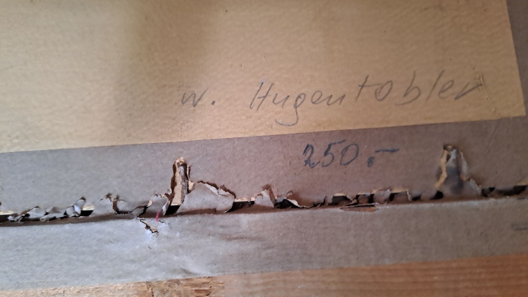 Incisioni: grosser Stich NAPOLEON 1809 Guttenberg – Usato da schönholzerswilen venduto da Vistapoint 6